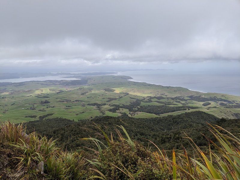 View from Mt Karioi trig