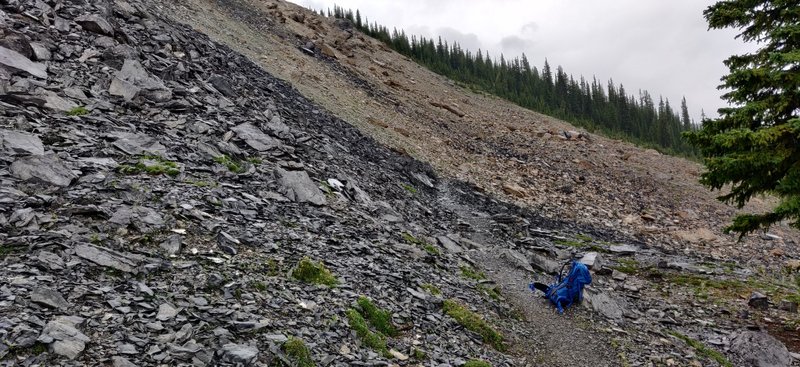 The Burgess Shale, site of one of the most important fossil discoveries in the world. Unguided groups cannot venture higher in the fossil quarries. Stay on the trail.