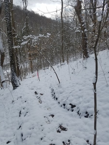 Great views of the valley sans foliage in the winter.