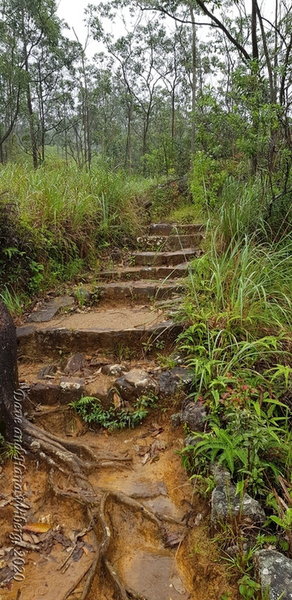 Steps along the trail