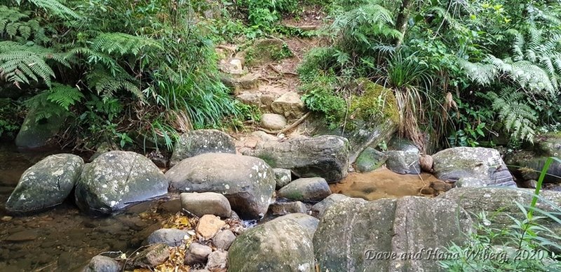 Small creek crossing just before fork in path leading to Knuckles Falls