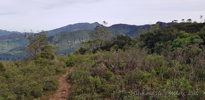 View back along the trail.