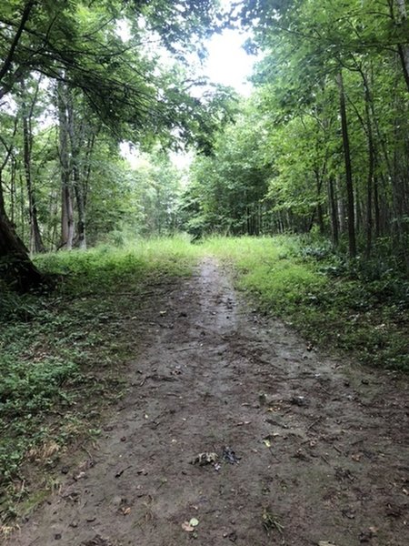 Southern Terminus of Western Branch & Cornerstone