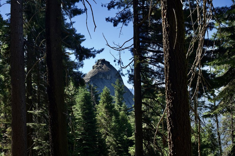 Moro Rock can be seen through the trees from the trail.