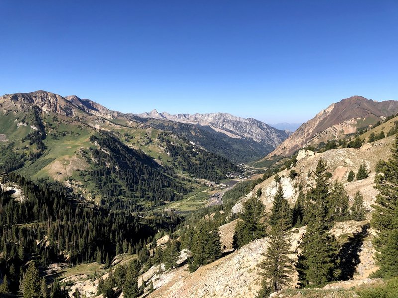 View of Alta ski resort from near Davenport Hill