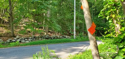 The road walk begins!