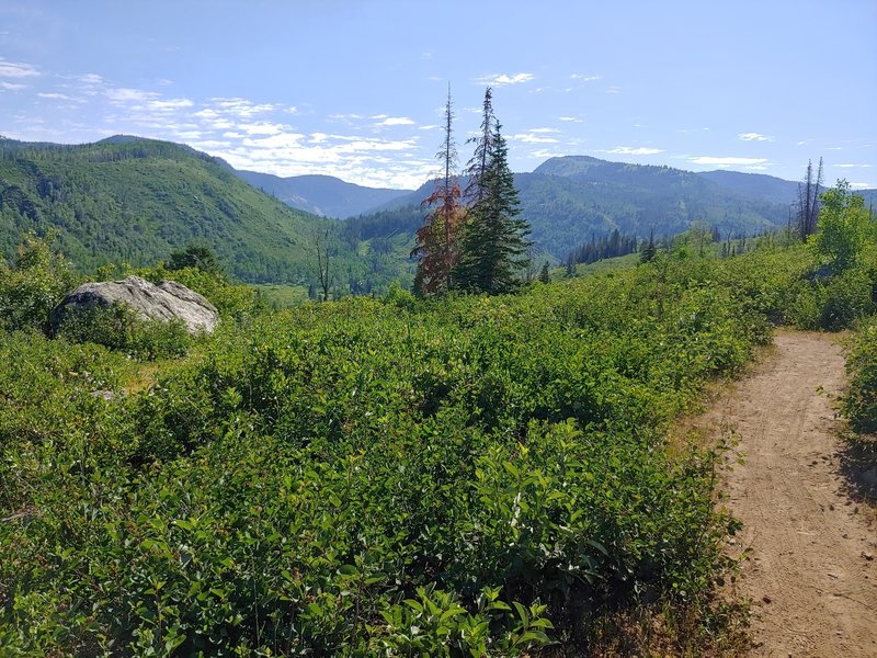 View along trail to northwest