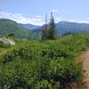 View along trail to northwest