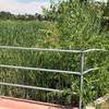 Bridge over the marshland creek