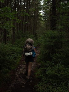 North-South Trail has really good spots.