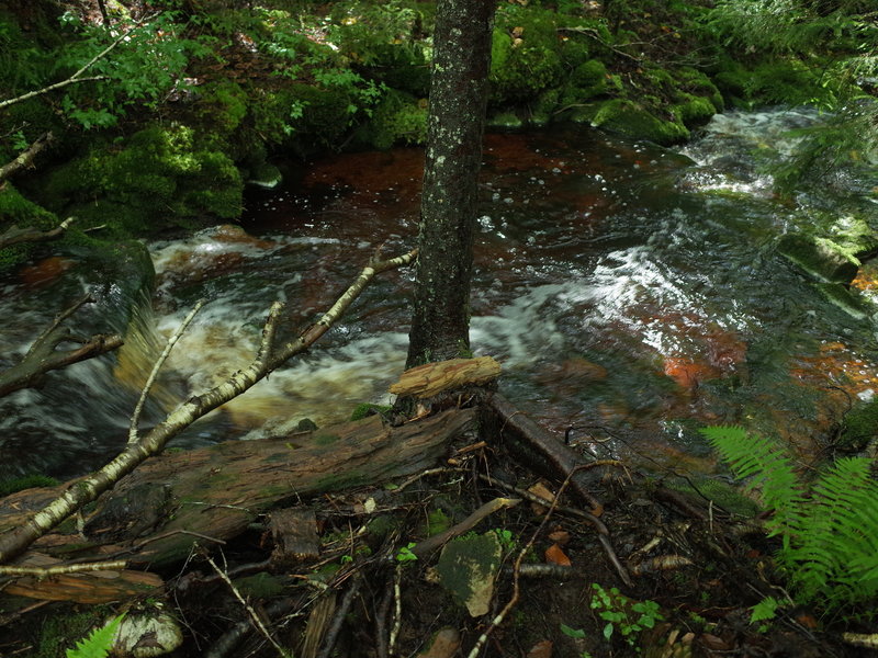 Hiking up hill back to the scenic highway.   One of the WV best trails.