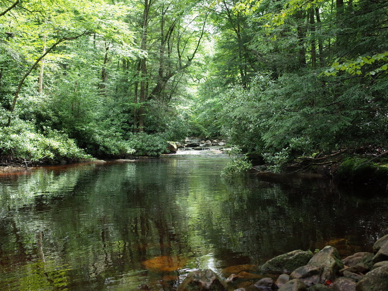 Middle Fork Trail is just outstanding.