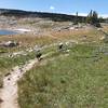 Blue and Mocha on Alpine Lakes Loop