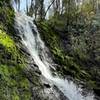 Bridge Creek Waterfall in early spring sunshine.