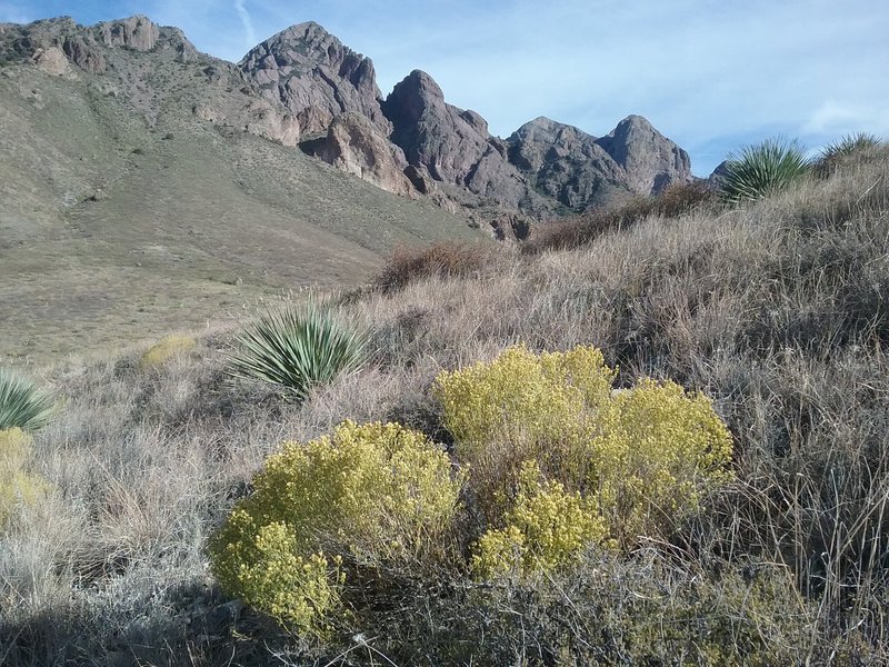 View of the Organ Mountains from the trail.