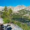 Olive Lake from ridge between it and Peter Pande. It looks so close, but there is a cliff between here and the trees below.