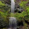 Kilchis Falls drops in a misty veil from a height of perhaps 30 feet, hitting a ledge about halfway down and falling again into a shallow pool, surrounded by greenery.