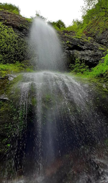 Kilchis Falls, water pouring down in a misty veil almost directly onto the camera, green mossy rocks and ferns all around.