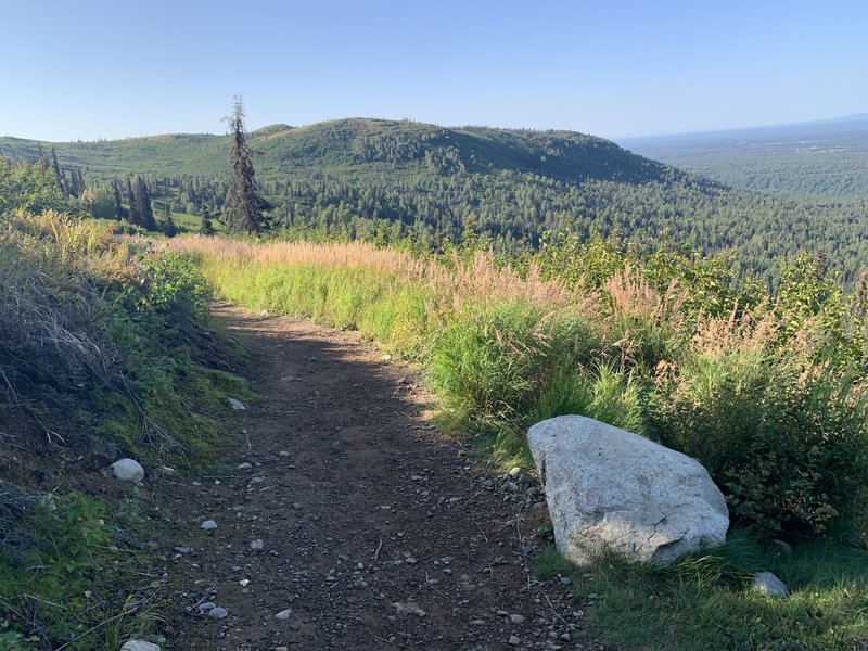 This is on the switchbacks looking down trail.