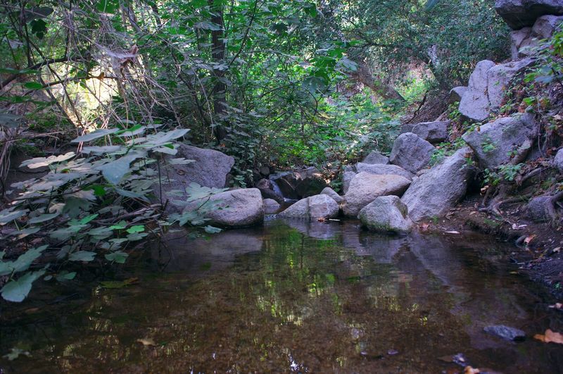 Several shallow stream crossings where you can watch dragonflies, listen to birds or cool your feet.