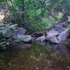 Several shallow stream crossings where you can watch dragonflies, listen to birds or cool your feet.