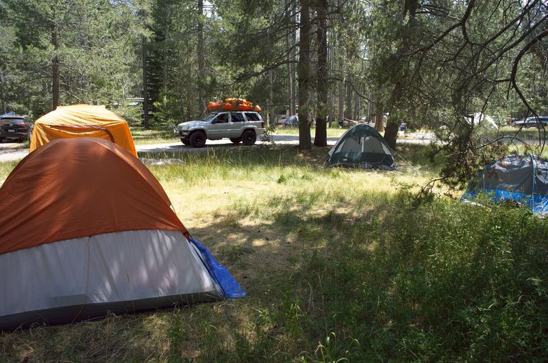 Public camping along the Donner State Park Trail