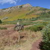 Meeting the loop near Taylor Lake.