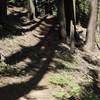 The Bobcat Point Trail as it climbs up the hillside from the Sugar Pine Trail toward Bobcat Point.