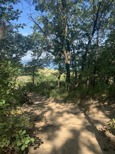 First glimpse of Lake Michigan, about 1.4 miles in.