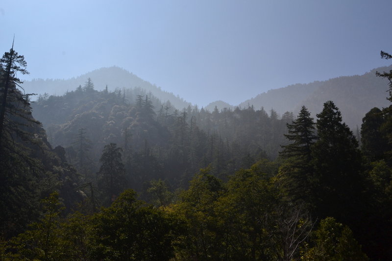 Along Lytle Creek.