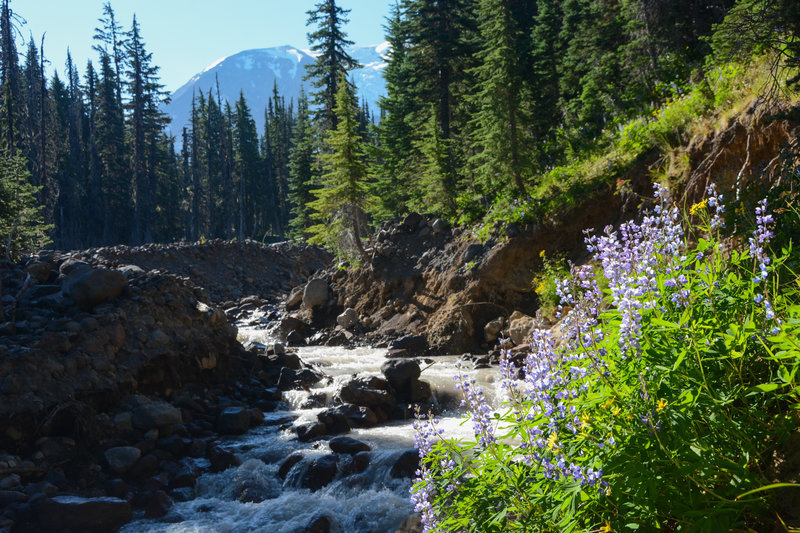 You can see Adams over silty Adams Creek at the second creek access point.