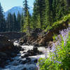 You can see Adams over silty Adams Creek at the second creek access point.