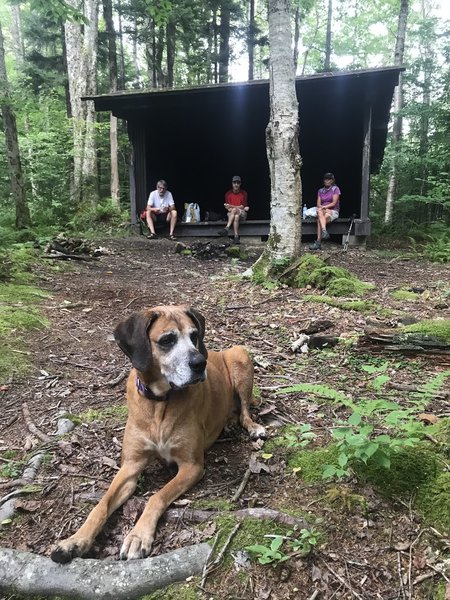 Bear Pen Ridge Shelter