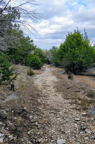 Typical scenery along Cedar Chopper.