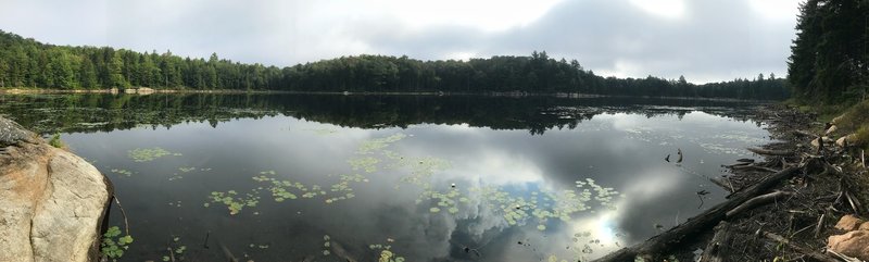 The view of Brewer Lake from the end of the trail.