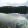 The view of Brewer Lake from the end of the trail.