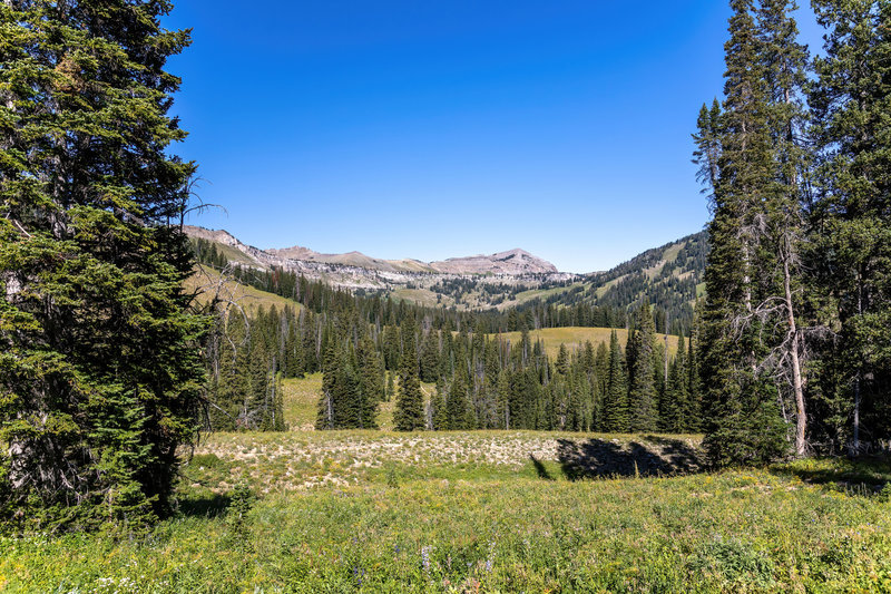 Housetop Mountain across the meadows along Middle Fork Granite Creek.