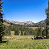 Housetop Mountain across the meadows along Middle Fork Granite Creek.