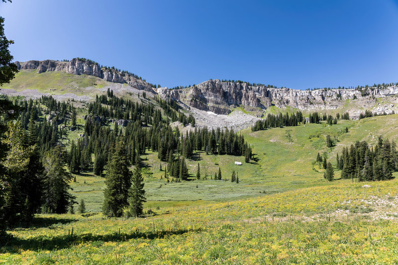 Lush green along Middle Fork Granite Creek.