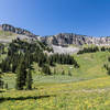 Lush green along Middle Fork Granite Creek.