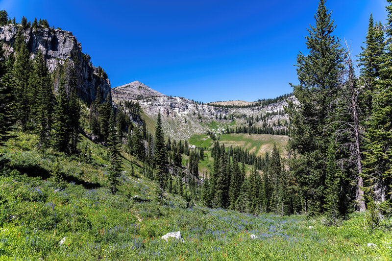 Housetop Mountain