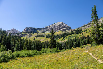 Housetop Mountain from Granite Canyon.