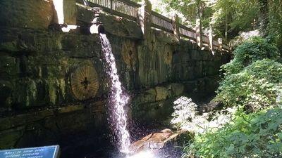 Downstream face of the dam on the Chinqua-Penn Walking Trail.
