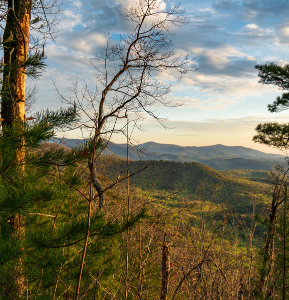 Looking over the Tennessee Valley from Wolf Ridge.