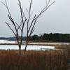 Little Cataraqui Creek in winter