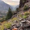 View of Ouray from the trail.