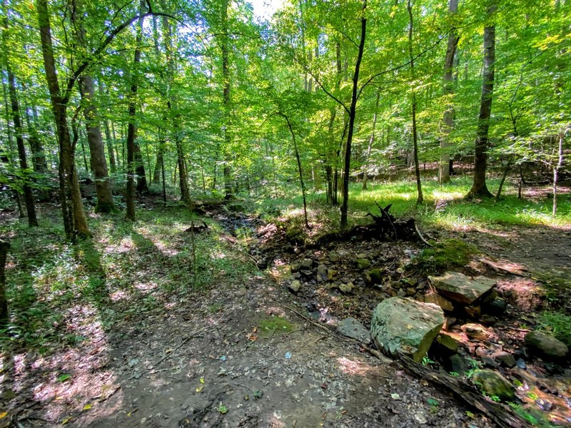 NIce little rock bridge on the trail.