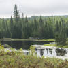 Looking over unnamed pond.