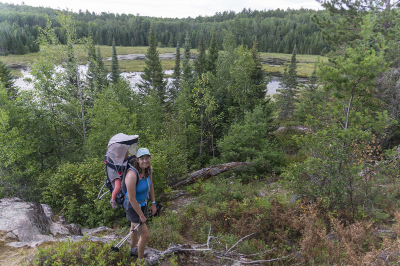 Beaver Pond Overlook