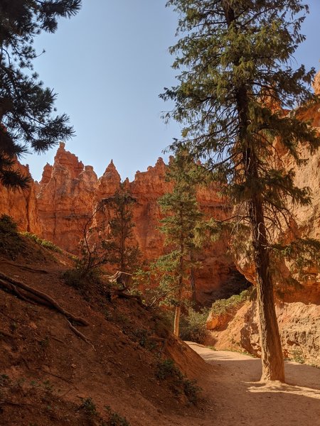 Navajo Loop, early morning.